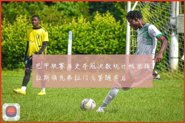 巴甲联赛历史夺冠次数统计帕尔梅拉斯领先弗拉门戈紧随其后