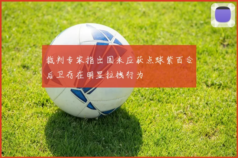 裁判专家指出国米应获点球紫百合后卫存在明显拉拽行为
