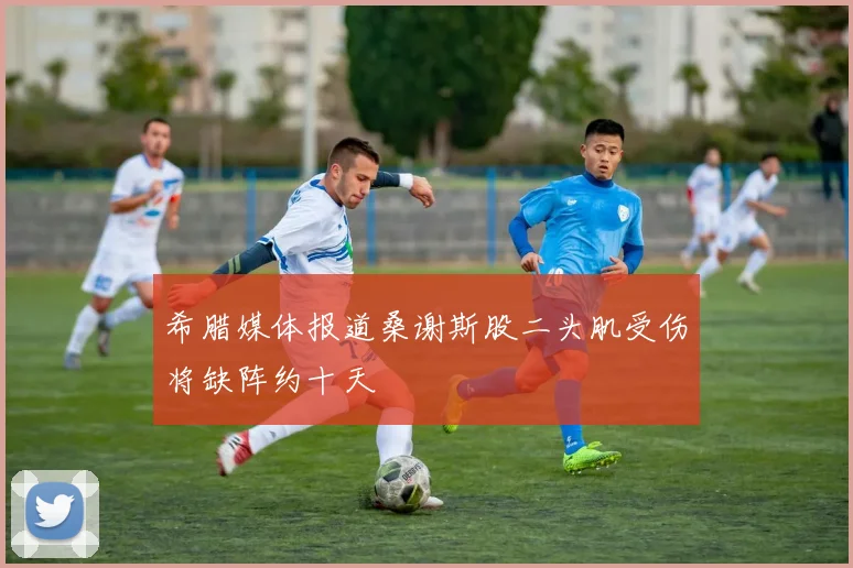 希腊媒体报道桑谢斯股二头肌受伤将缺阵约十天