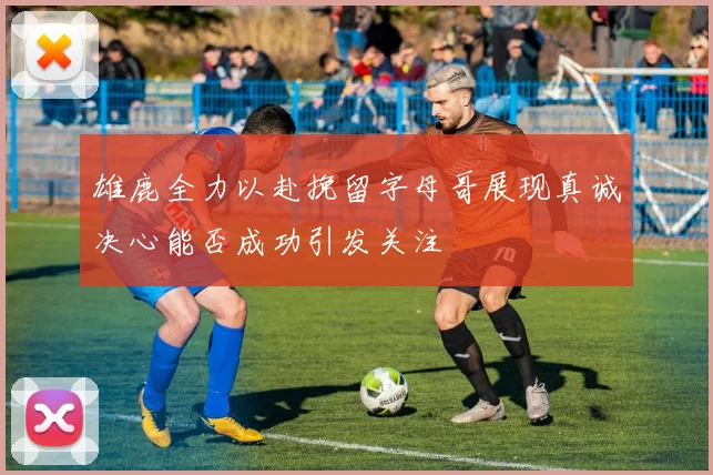 雄鹿全力以赴挽留字母哥展现真诚决心能否成功引发关注
