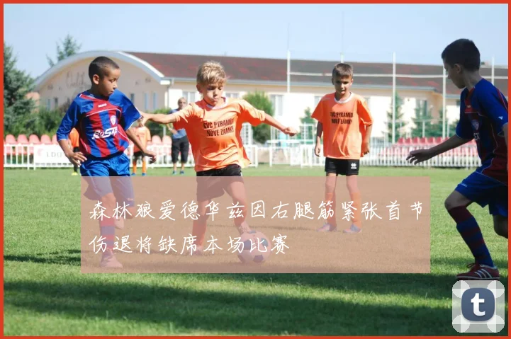 森林狼爱德华兹因右腿筋紧张首节伤退将缺席本场比赛